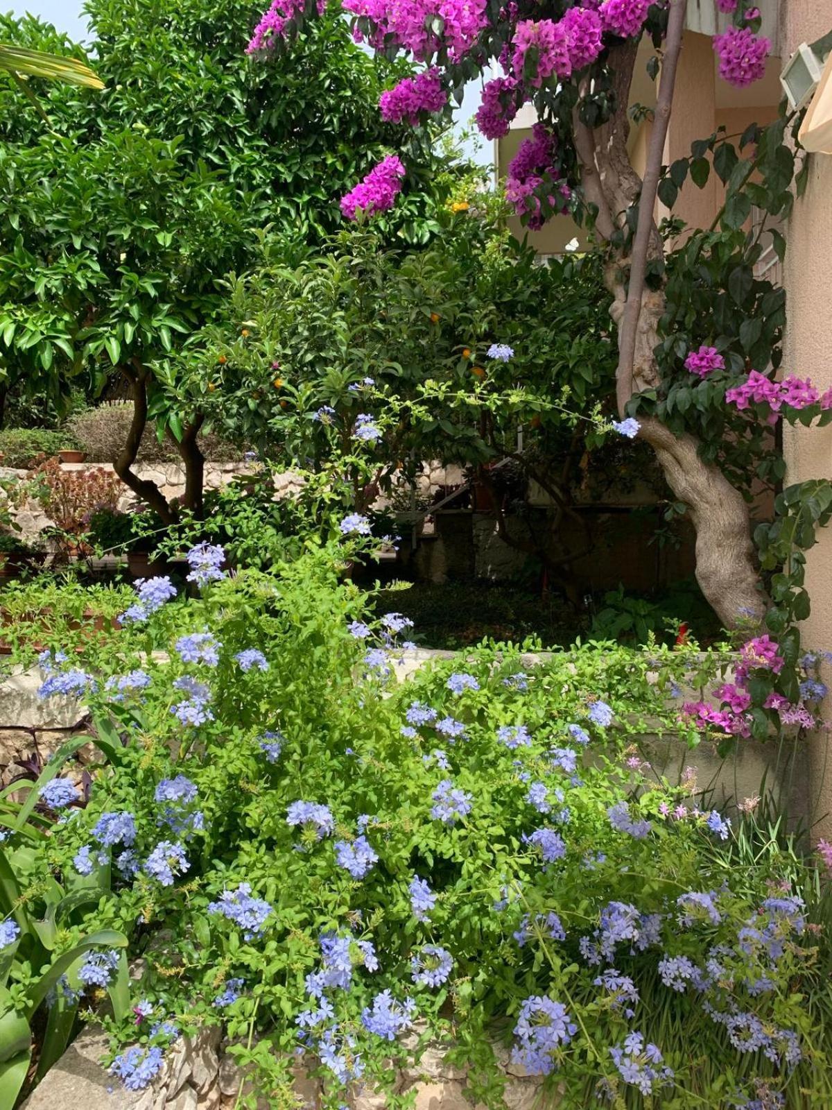 Villa Calypso Trogir Exteriér fotografie